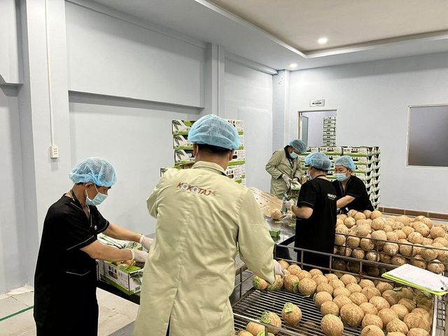 Fresh Coconut - Image 4